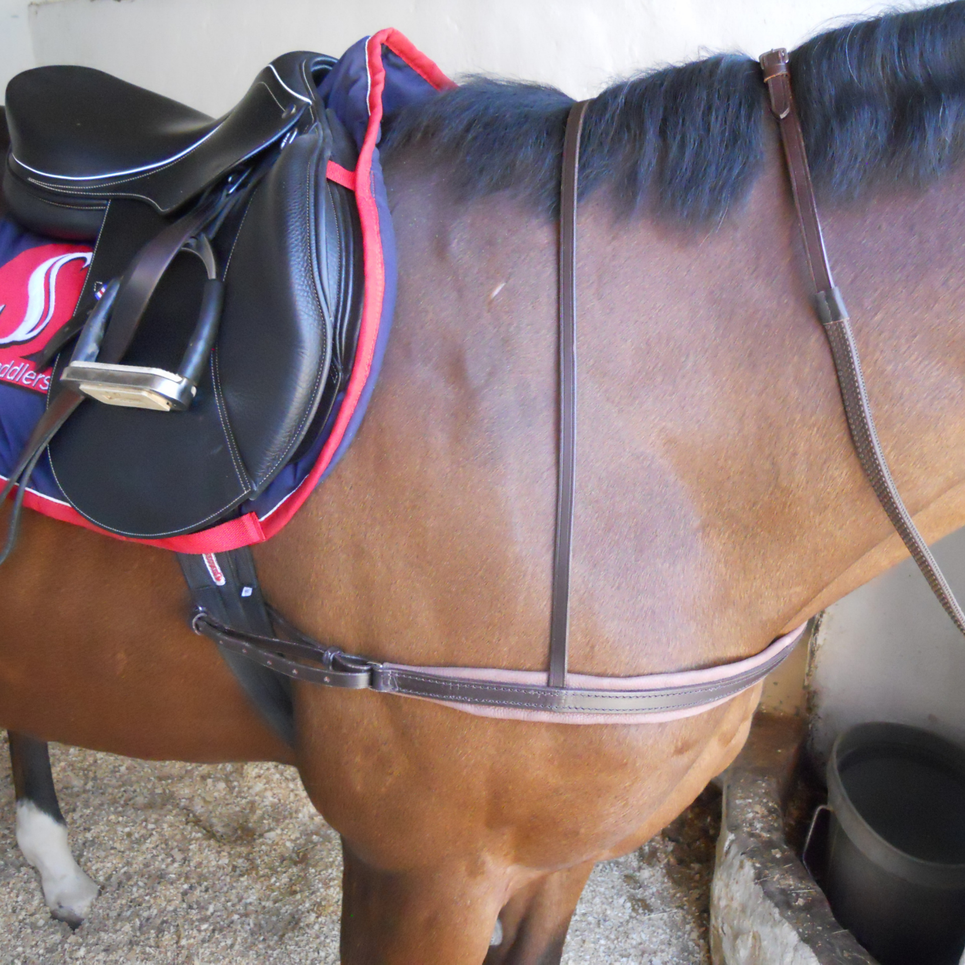 Breast Plate Exercise Leather Solo